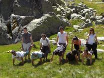 Multiaventura en Sierra de Gredos