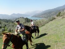 Rutas a caballo en Andalucía